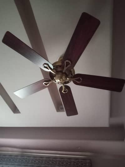 Ceiling fans for Sale