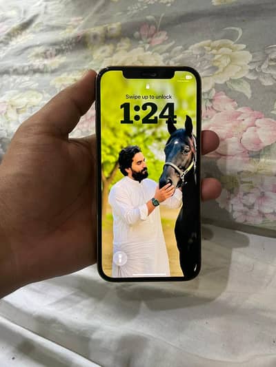 Apple iPhone 12 pro jv, iphone 12 pro, jv iphone 12 pro, iphone 12