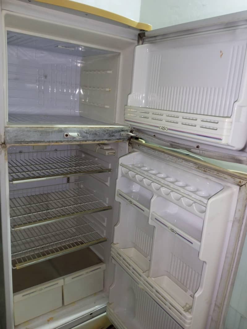 waves refrigerator 1