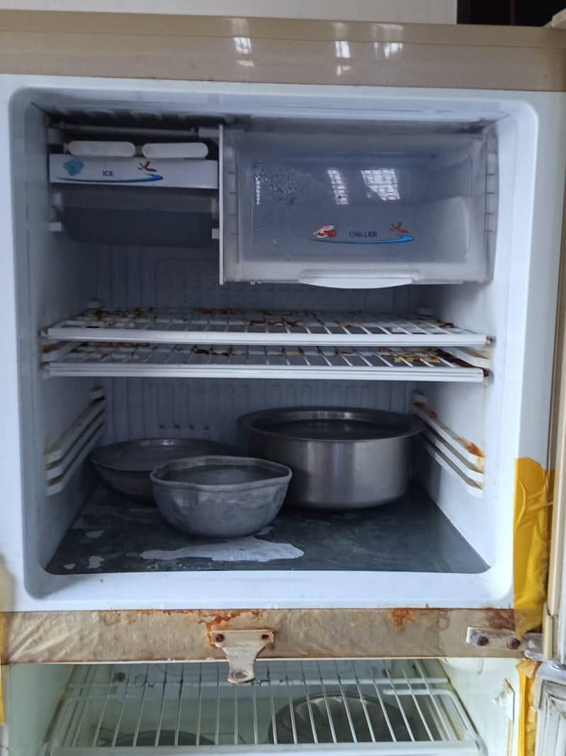 Pell freezer 10/10 1