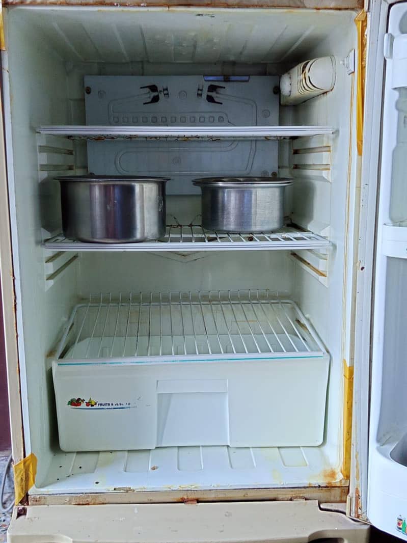 Pell freezer 10/10 2