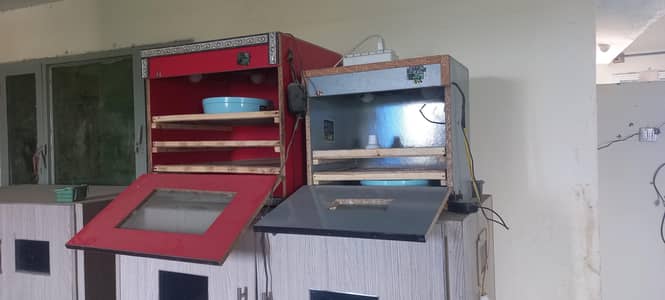 Two incubator machines