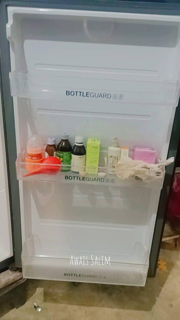 freezer 1