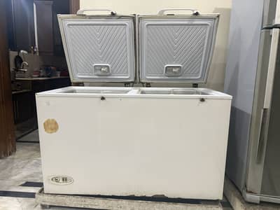 Double door waves Freezer