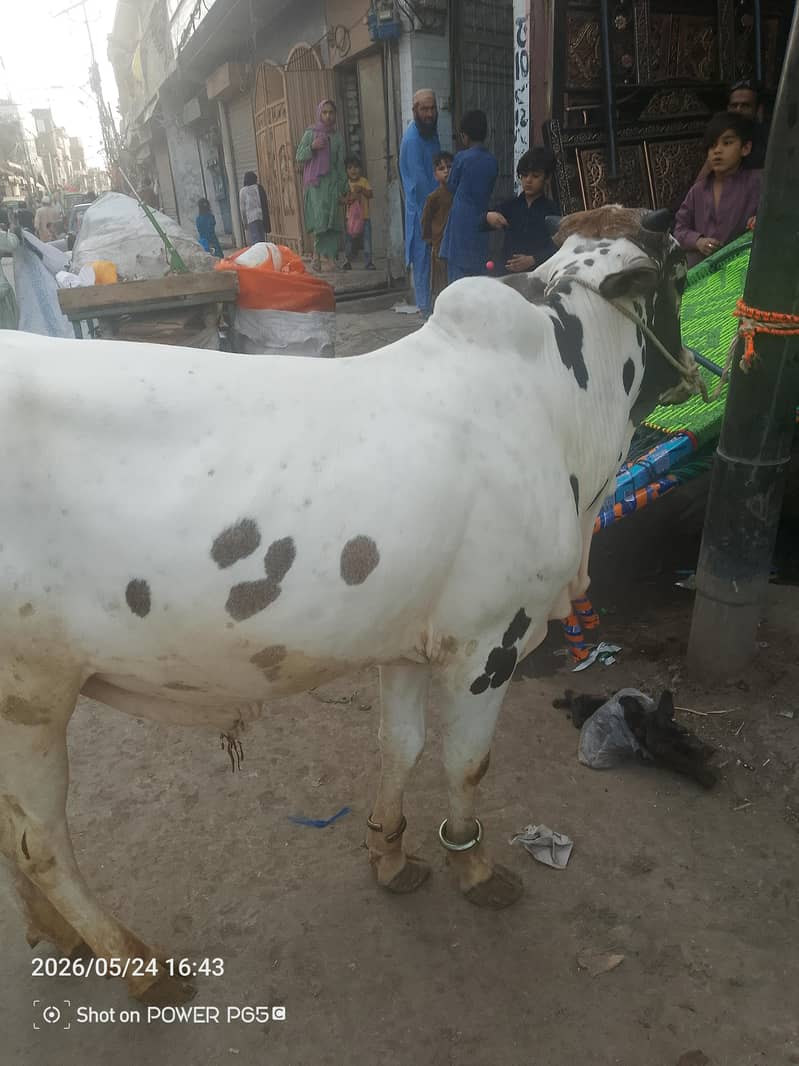فتح جنگی 1