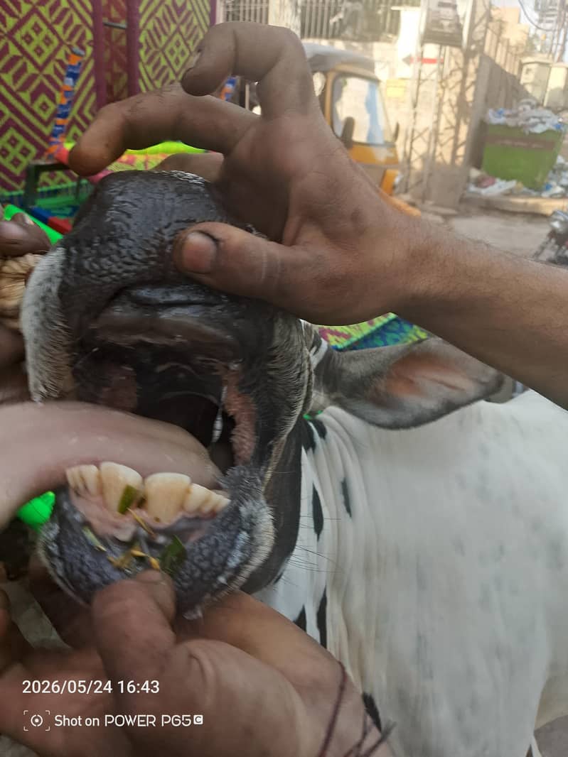 فتح جنگی 3