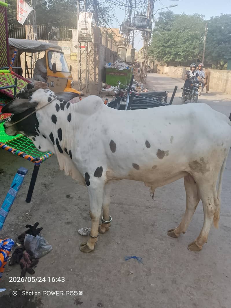 فتح جنگی 4