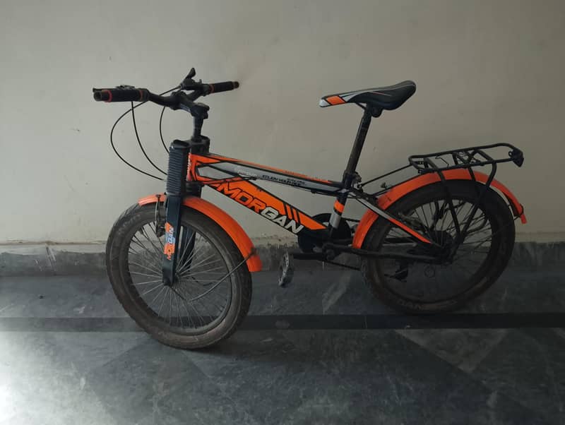 Morgan cycle 0
