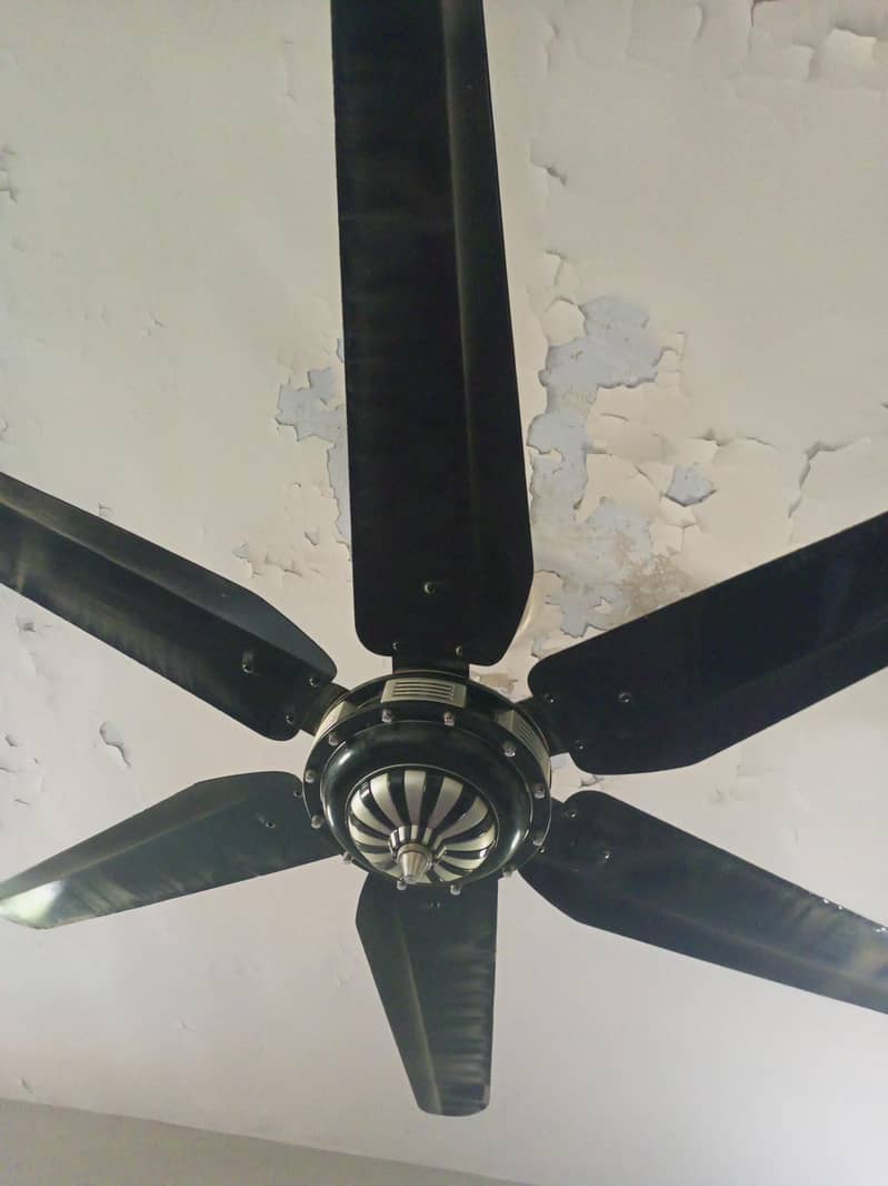 Ceiling fans 0