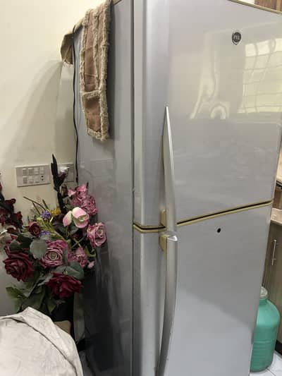 Pel full size refrigerator 10/9 condition