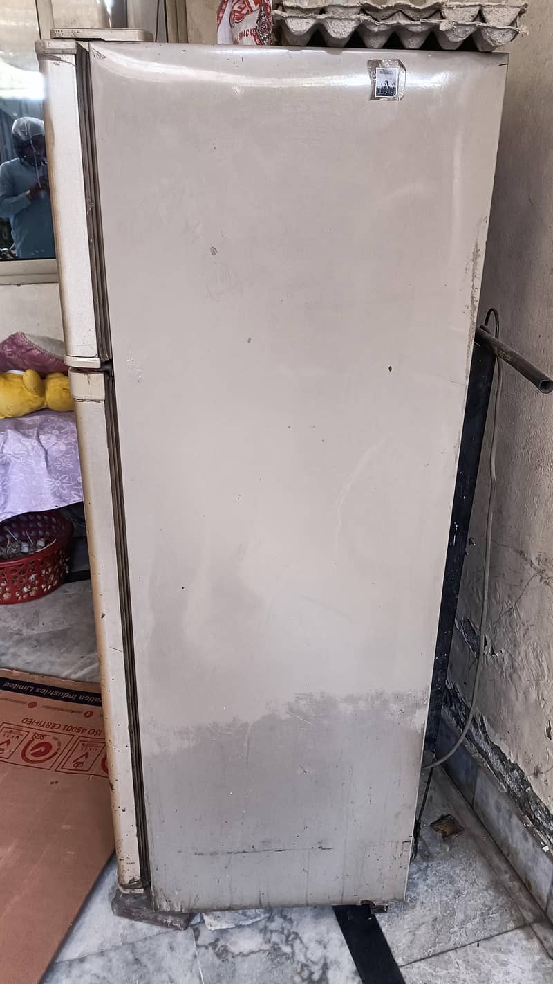 dwalnce  medium size 2