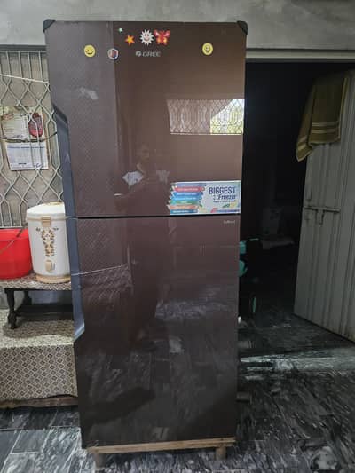Jumbo Size Fridge
