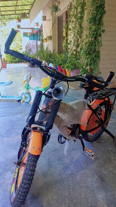 Mountain Bicycle for Kids (Age 5-10) in Brand New Condition
