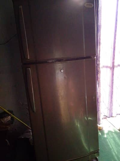 waves fridge