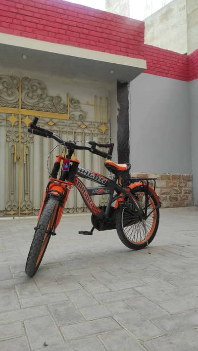 Original Trigon Bicycle