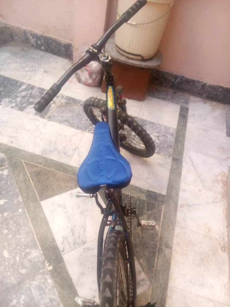 mujeeb ullah 2