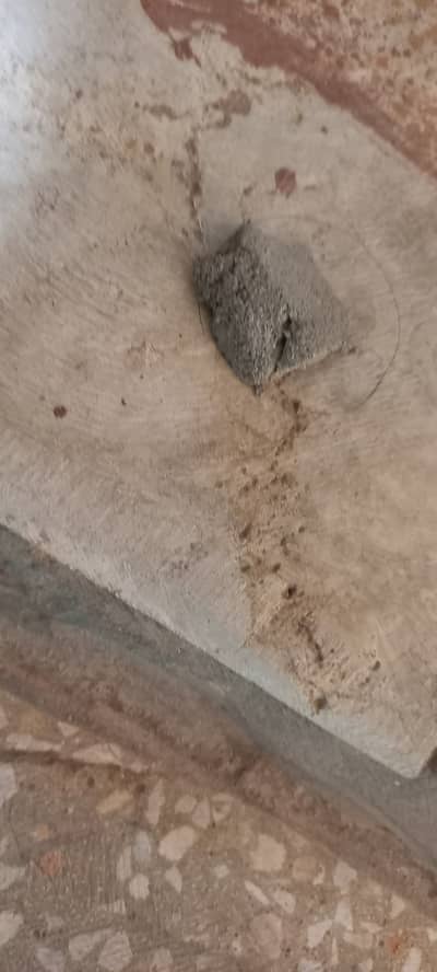 Rare granite stone