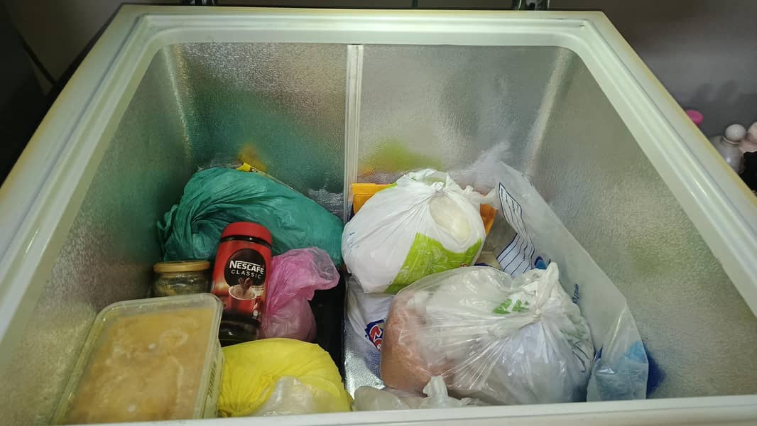 D freezer 5