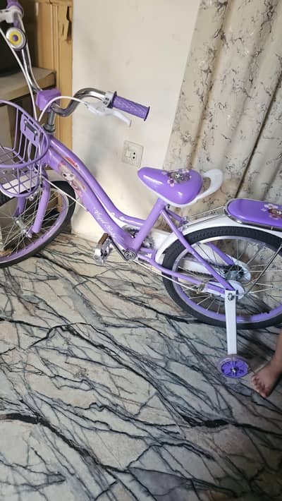 purple girls bicycle 12 to 18 years