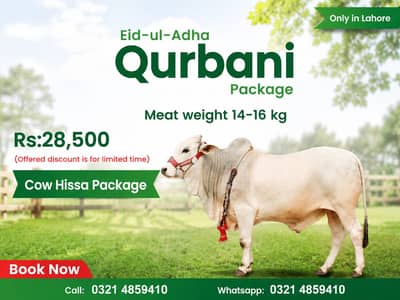 Qurabi Hissa