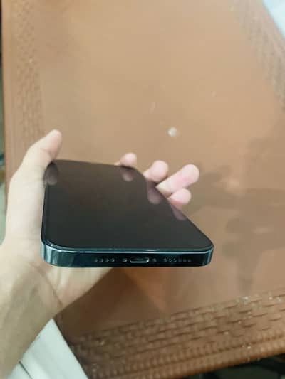 12promax 256gb