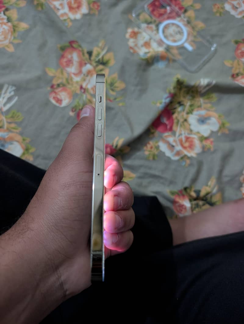 iphone 12 pro max 2