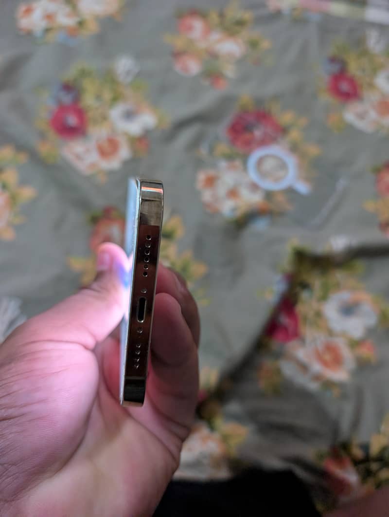 iphone 12 pro max 3