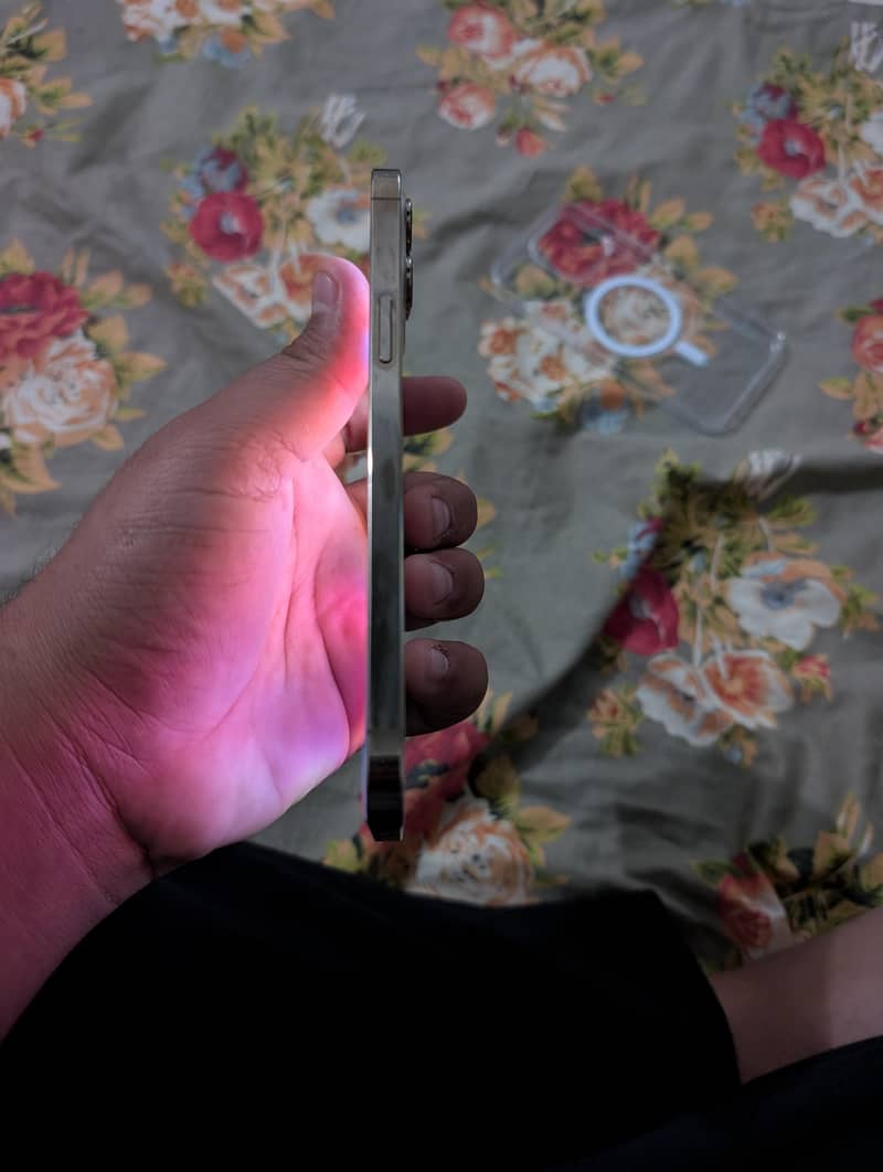 iphone 12 pro max 4