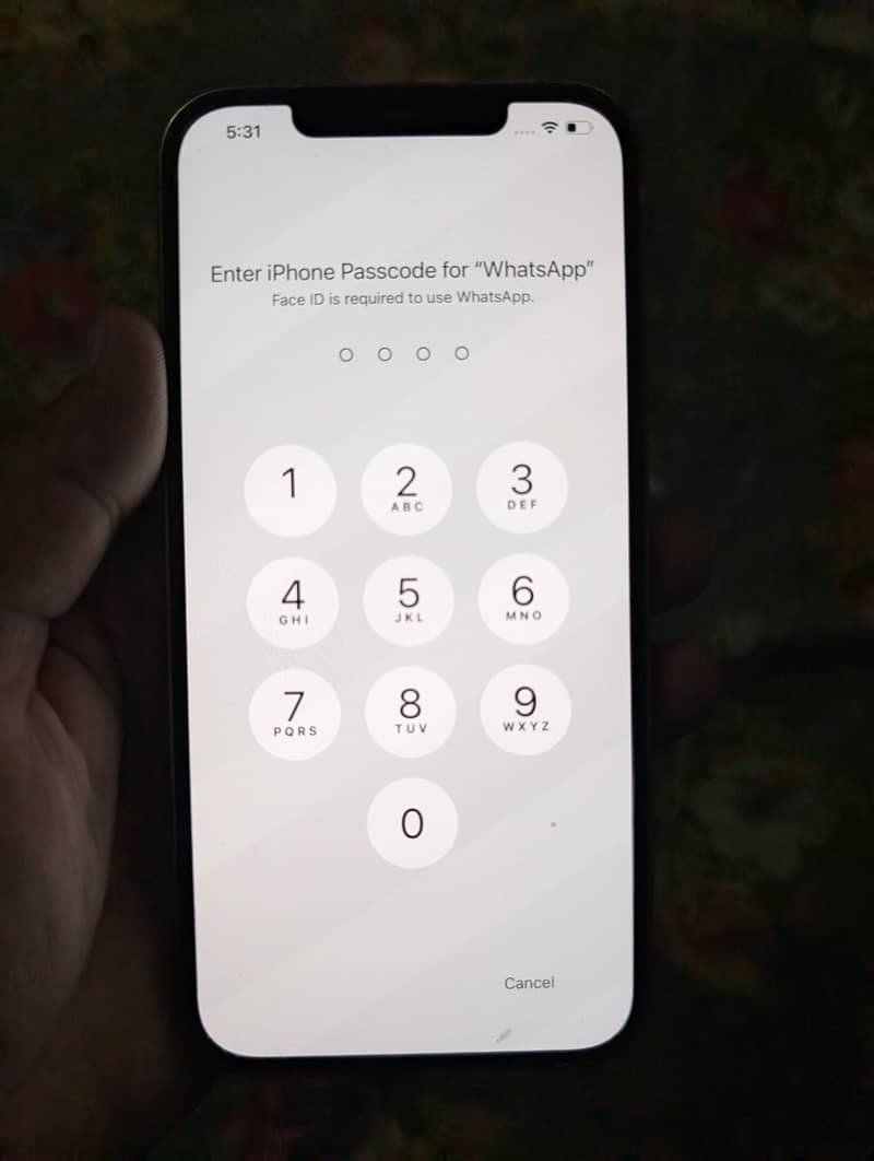 iphone 12 pro max 6