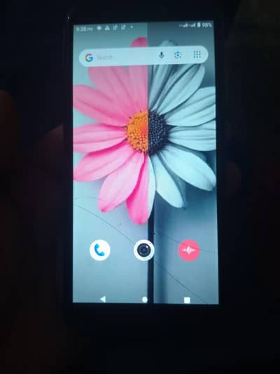 dual sim official approved