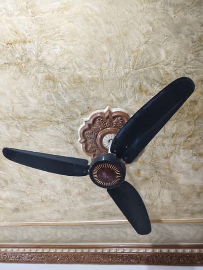 Sufi Fans 56" Black