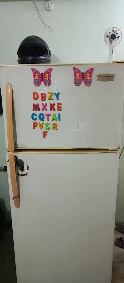 Kelvinator Fridge no frost