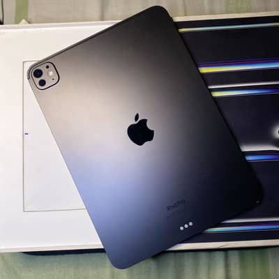 Ipad pro m4 chip 256gb storage 11 inches i pad