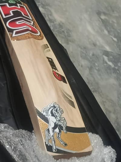 HS core 5 Cricket bat