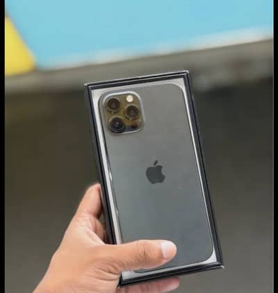 iPhone 12 Pro Max pta approved