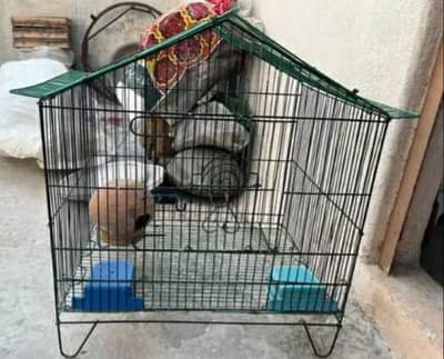 Cage for Birds