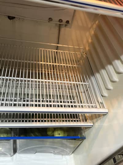 Dawlance jumbo fridge