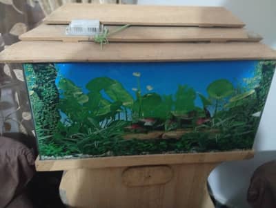 Fish tank/ Aquarium for sale