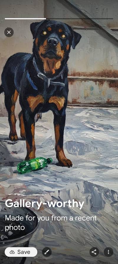 rottweiler dog