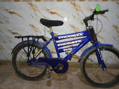 Phoenix cycle