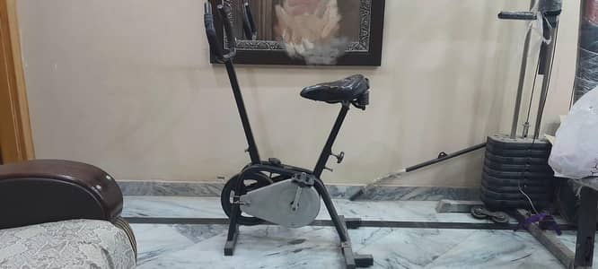 exercise cycle