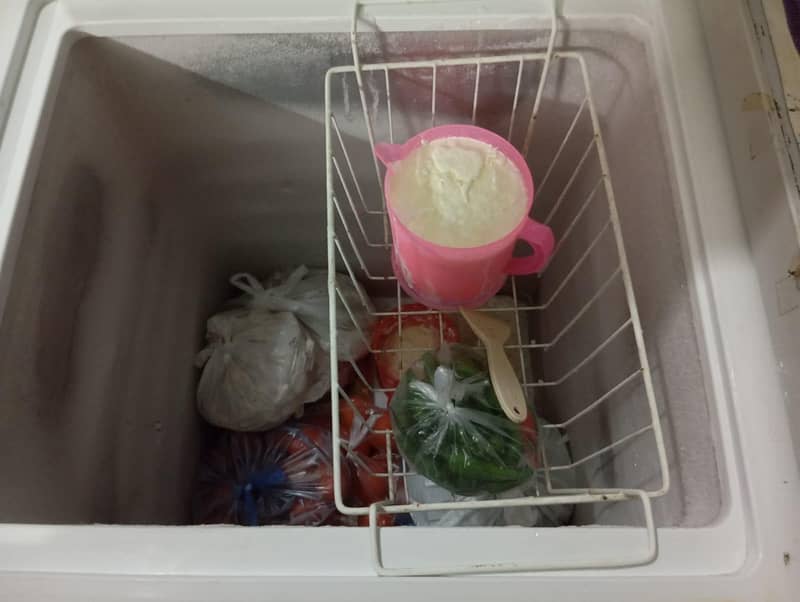 freezer 1