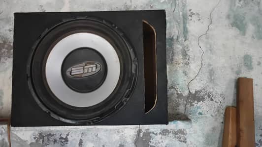 Amplifier and Woofer (Seavey Line & BM)