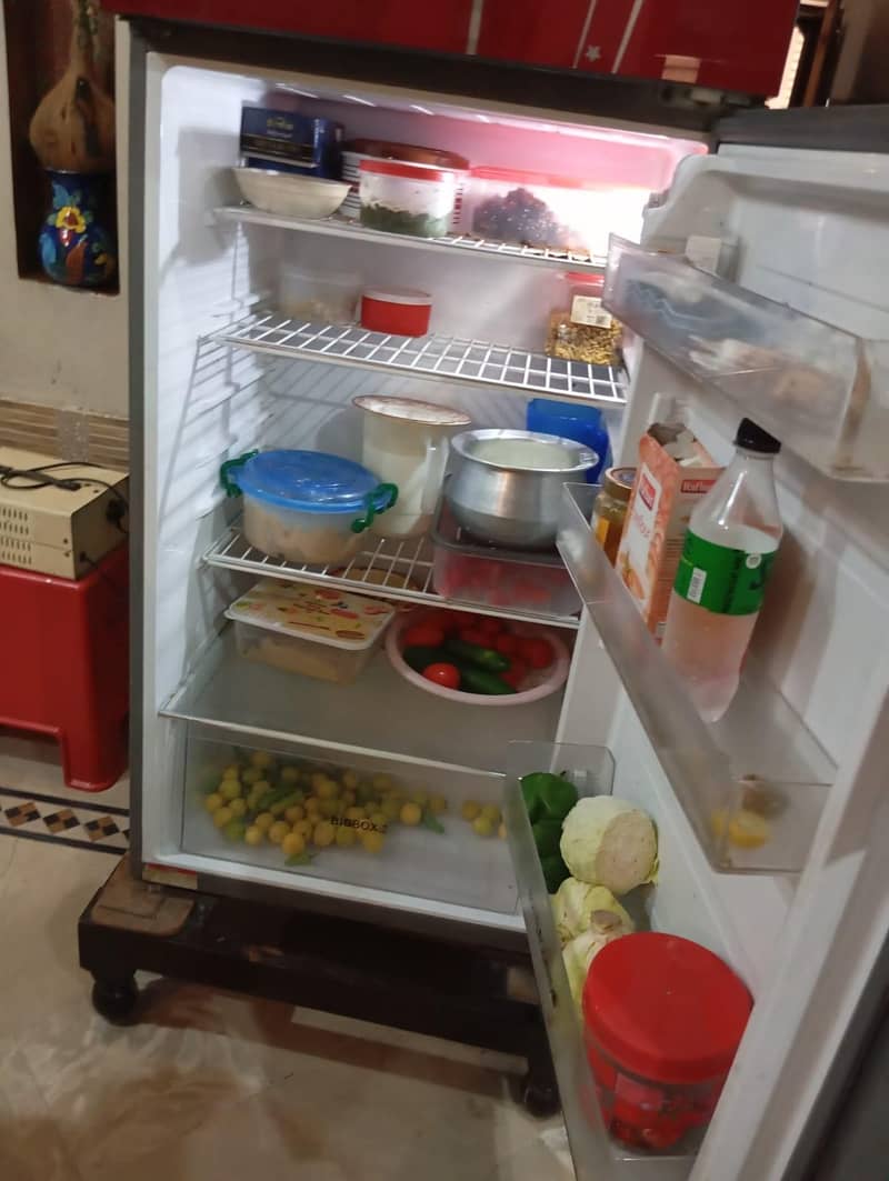 fridge 1