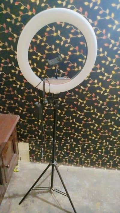 full size ring light with stand