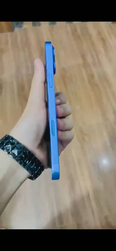 16 Plus 256GB 100 health bypass
