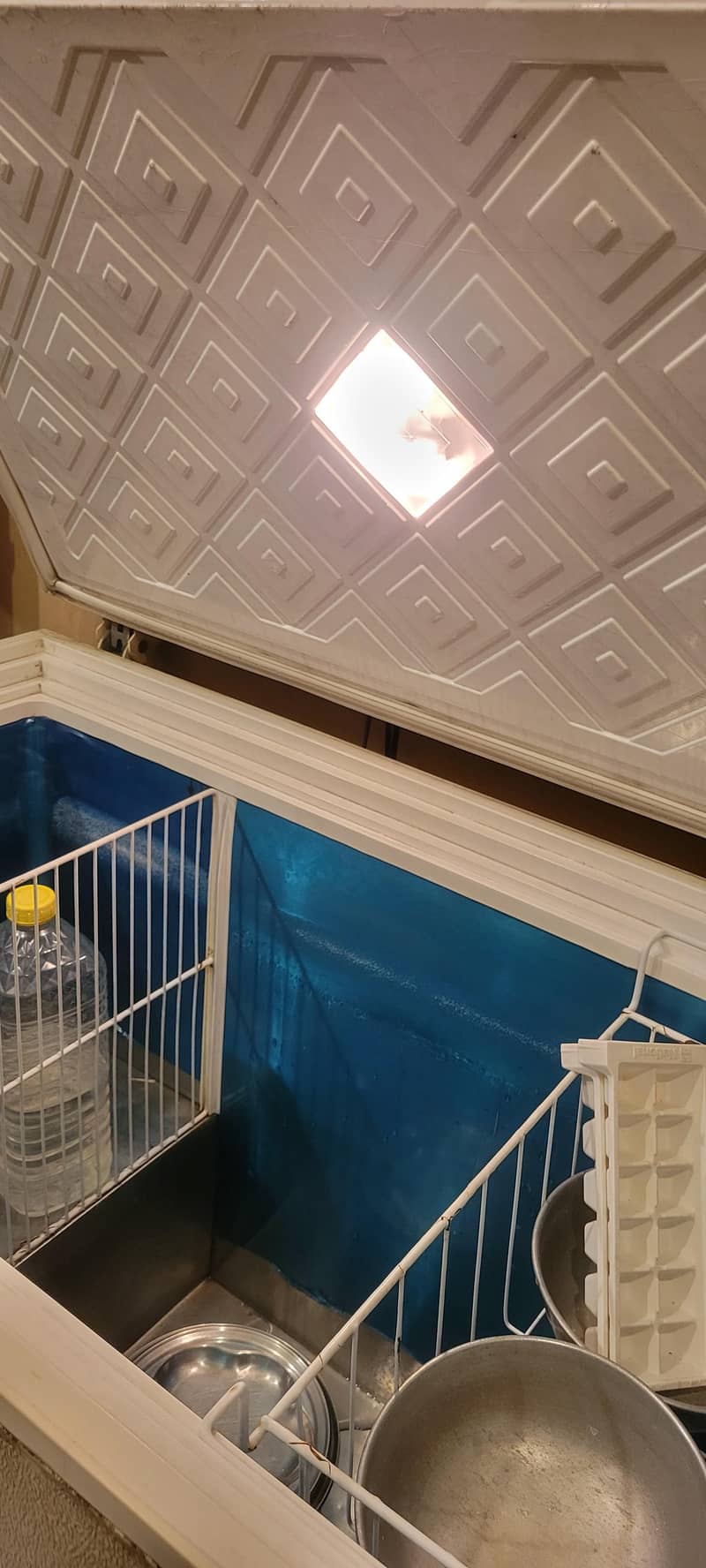 waves deep freezer 1