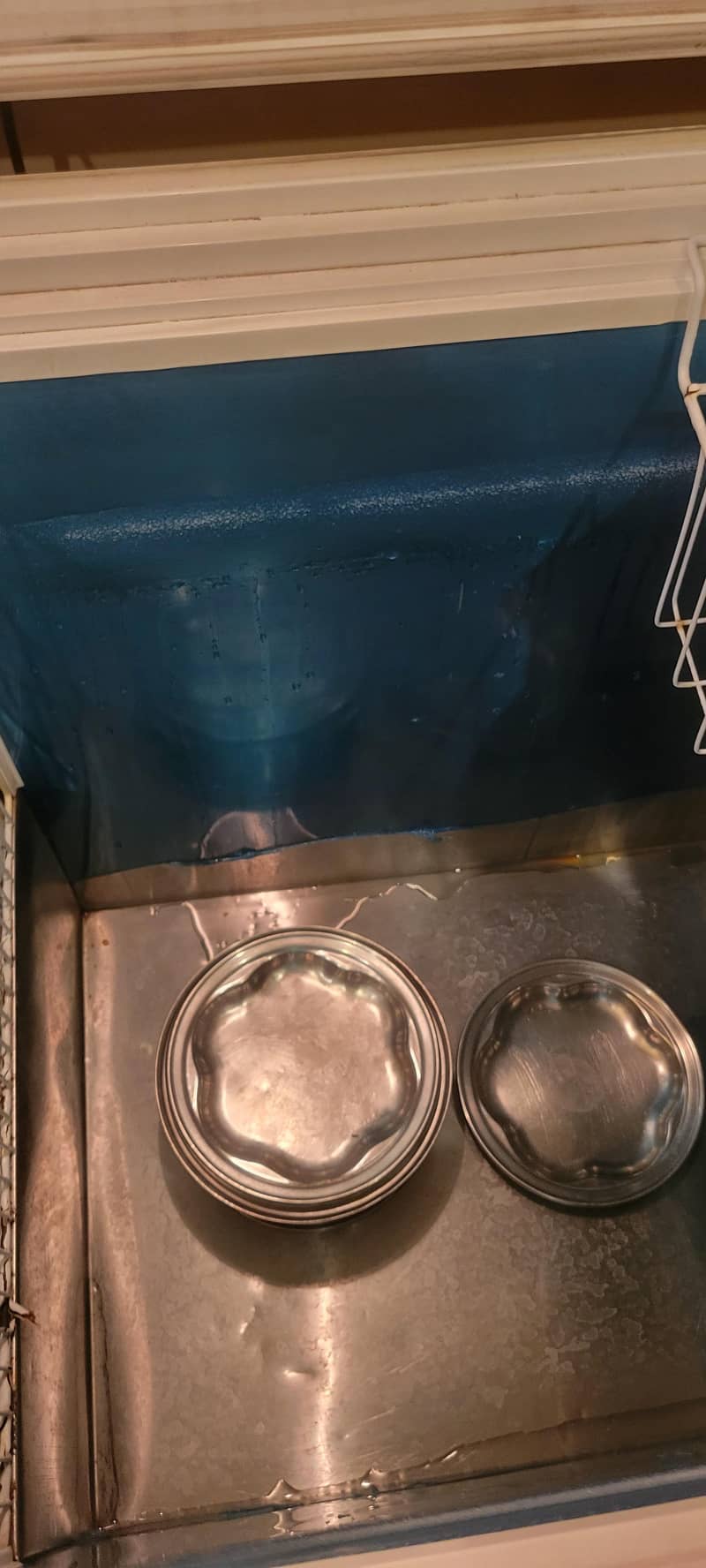waves deep freezer 2