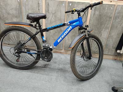 Mountain Bike