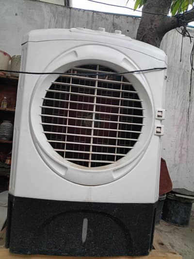 cooler fan